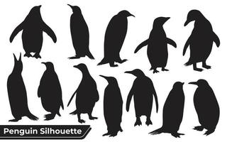 colección de silueta de pingüino en diferentes poses vector