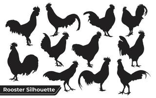 Colección de silueta de gallo animal en diferentes poses. vector