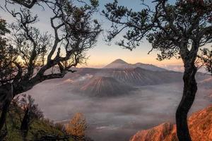 Monte volcán activo con marco de árbol al amanecer. foto