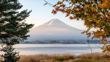 Mount Fuji with tree and meadow in Kawaguchiko Lake photo