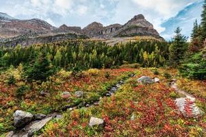 Montañas rocosas con arroyo en el bosque de otoño en el parque provincial Assiniboine foto