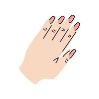 hand with painted nails vector