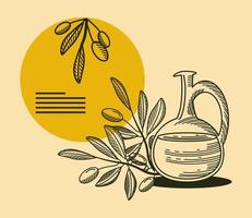 olive oil and branches vector