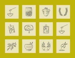 set olive oil vector