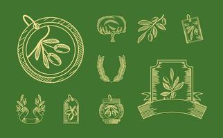 set of olive products vector