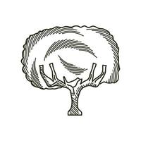 tree engraving style vector