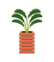 wooden pot with plant vector