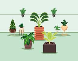 plantas de interior jardín naturaleza vector