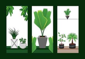 Banners de decoración de plantas de interior vector