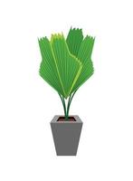 exotic houseplant interior vector