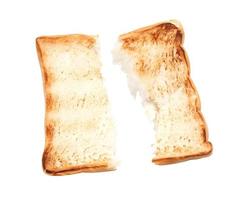 Ripped toasted bread on white background photo