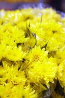 close up yellow flower in market photo