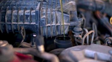 Maestro de reparación de automóviles vertiendo aceite nuevo en el metraje del motor