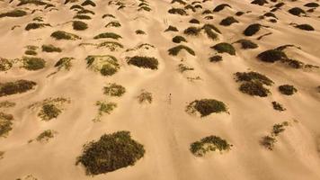 Video de drone de un hombre corriendo en el desierto de canarias.