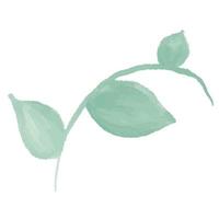green branch with leaves. Watercolor Leaves Green