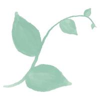 green branch with leaves. Watercolor Leaves Green vector