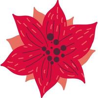 dibujado a mano rojo flor de navidad ilustración vectorial plana vector