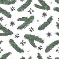 Fir tree branch seamless pattern, winter background.  christmas holly, spruce branches vector