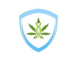 Abstract shield with cannabis leaf and DNA symbol inside vector