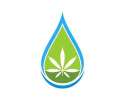 Abstract water drop with cannabis leaf inside vector