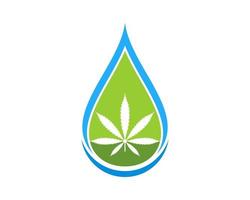 Abstract water drop with cannabis leaf inside vector