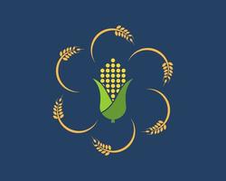 Abstract circular wheat with corn inside vector