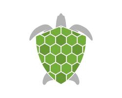 Turtle shell with shield protection vector
