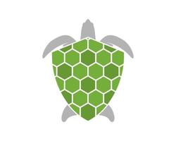 Turtle shell with shield protection vector