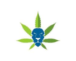 hoja de cannabis con cabeza de león dentro vector