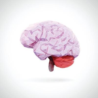 Brain illustration showing connections using triangular lines.
