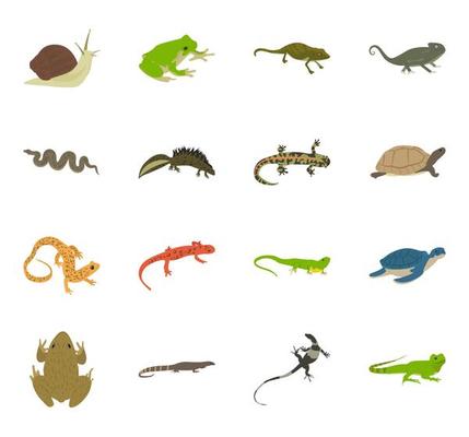 Trendy Reptiles Concepts