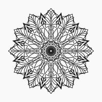 Hand drawn mandala. decoration in ethnic oriental  doodle ornament vector