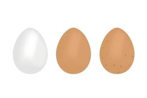 Set of brown and white eggs with shadow. Brown egg with dots. Vector illustration