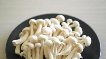 frischer Weißbuchenpilz oder weißer Reishi-Pilz auf Teller video