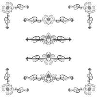 Text Devider Decorative Baroque Victorian Style vector