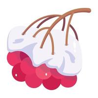 Snow Berries and Plum vector