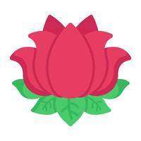 Lotus and Water lily vector