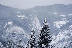 Snowy mountains in winter in the Pyrenees photo