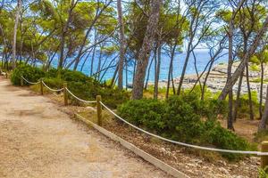 Natural walking path in forest Parc natural de Mondrago Mallorca. photo
