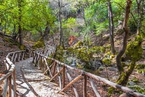 Sendero natural de madera para caminar, senderismo, mariposas, valle de las mariposas, rodas, grecia. foto
