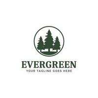 Evergreen Pine Tree Logo Design Vector
