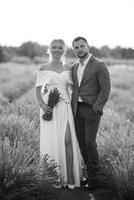 la novia y el novio en el campo de lavanda foto