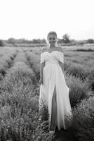 the bride in a white dress  on the lavender field photo