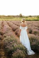 the bride in a white dress  on the lavender field photo