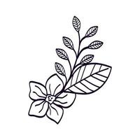 cute flower with branch and leafs line style icon vector