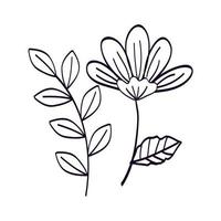 cute flower with branch and leafs line style icon vector