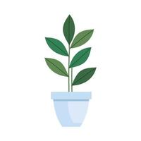 plant in house pot isolated icon vector