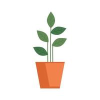 plant in house pot isolated icon vector