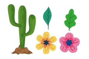 Isolated cactus flowers and leaves vector design