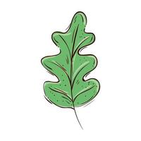 leaf nature ecology isolated icon vector